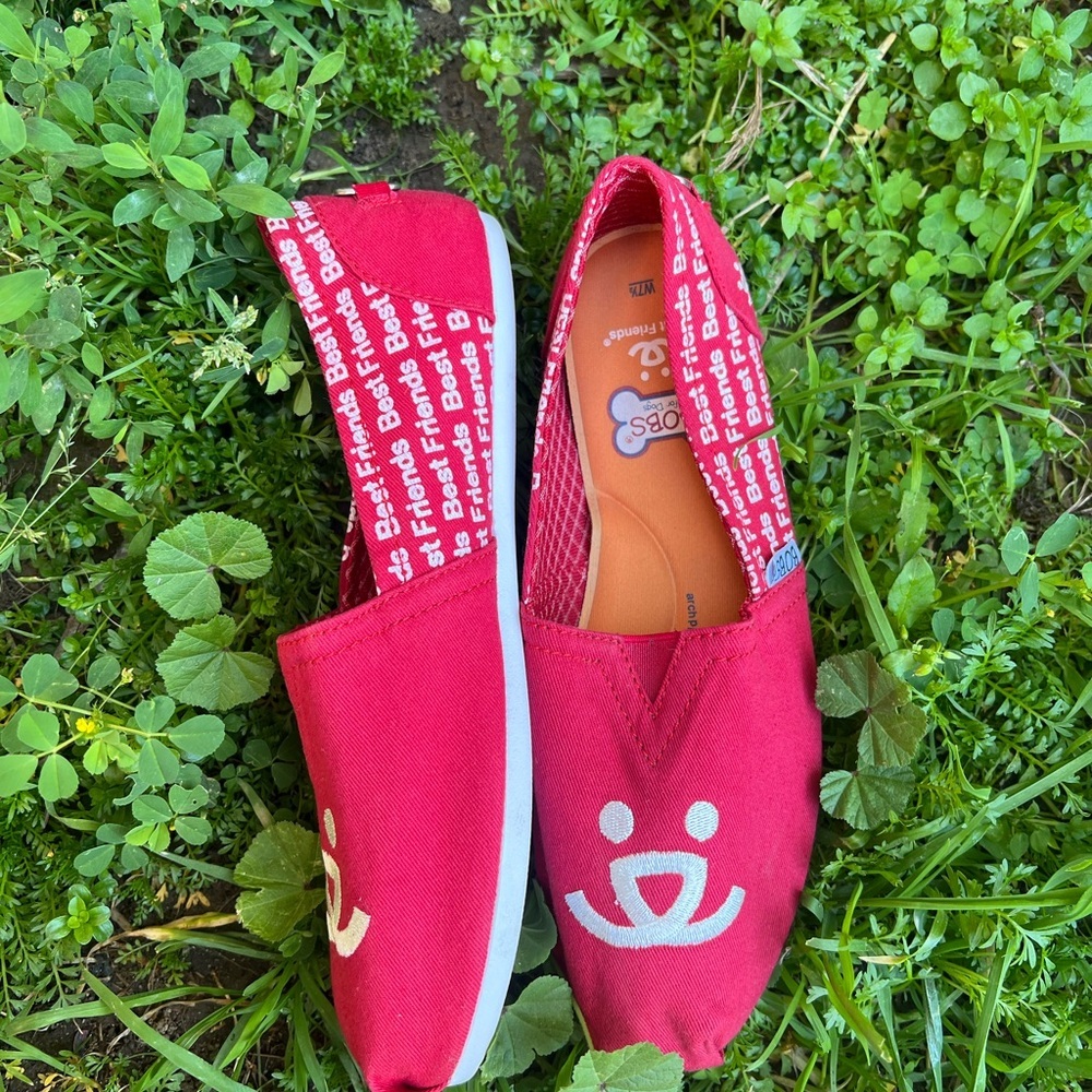 BOBS from Skechers